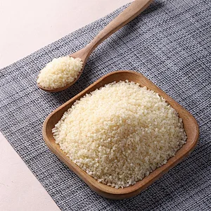 Best Quality Good Price Well Known Brand Granule Gelatin for Food Additive Wholesale Price Gelatin